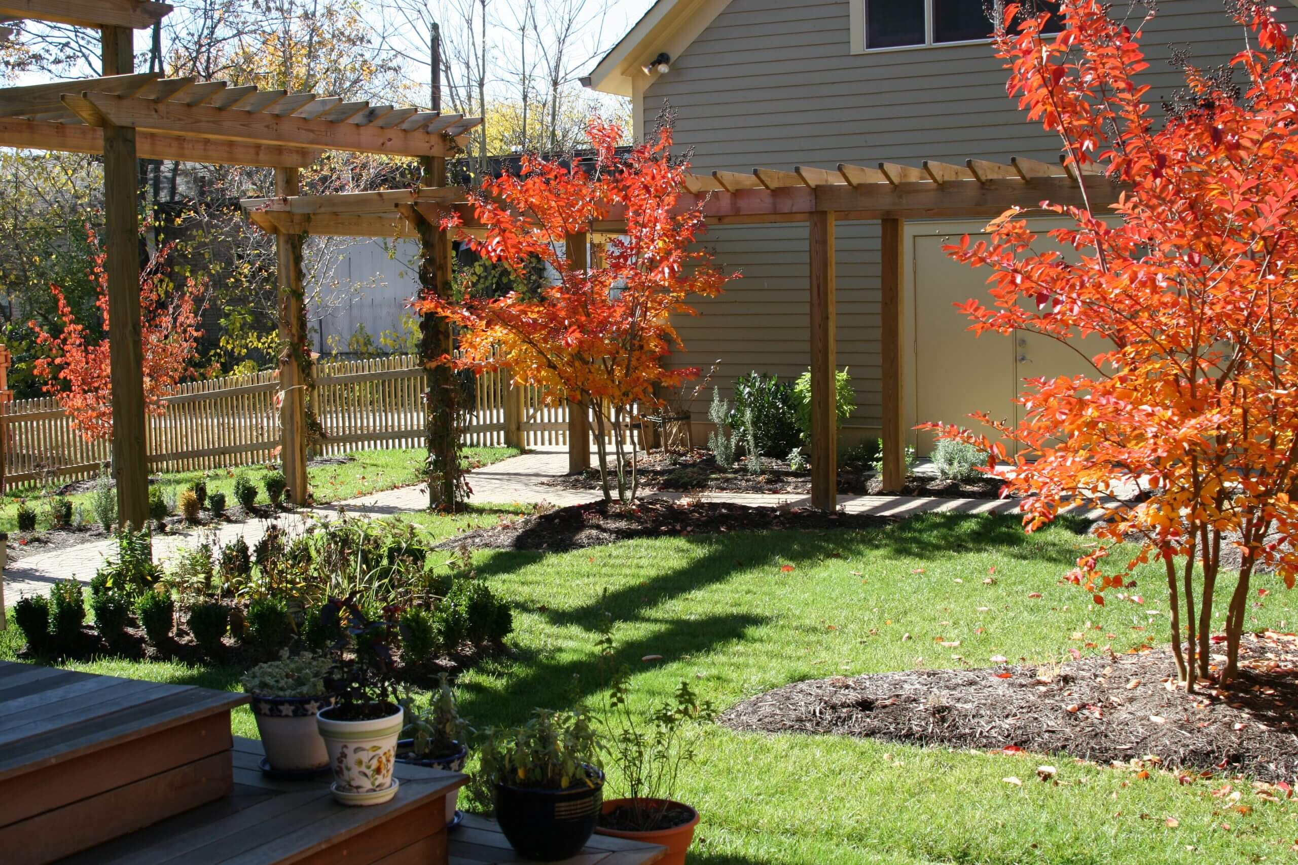 How To Plant Trees and Shrubs in East Tennessee - Willow ...