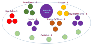 Pollinator Garden Diagram