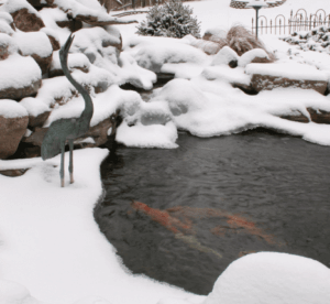 Cold Weather Pond Care