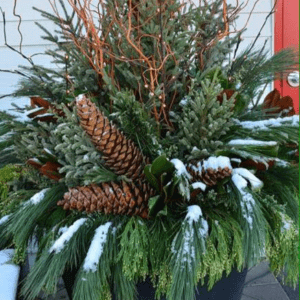 Winter Porch Pot