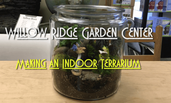 indoor terrarium