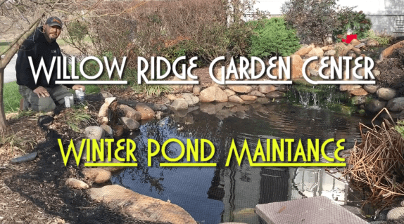 Winter Pond Maintenance