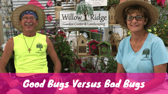 good bugs versus bad bugs