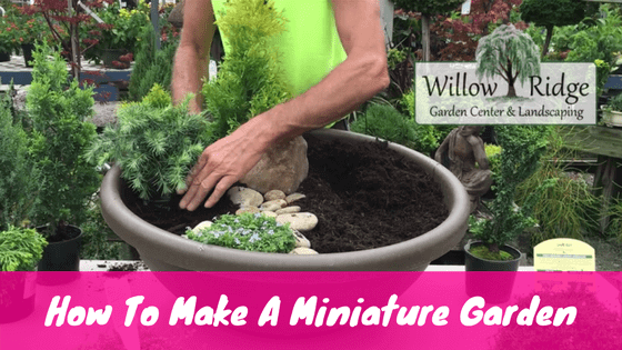 miniature garden