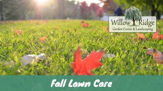 fall lawn care