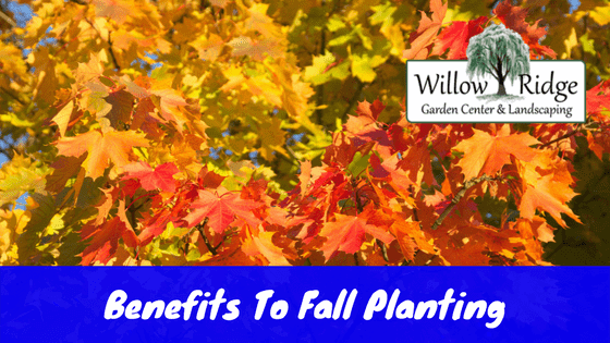 benefits to fall planting