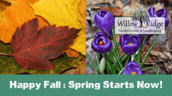 happy fall spring starts now