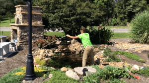 fall pond netting