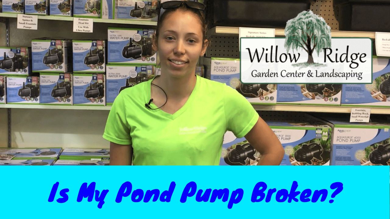 pond pump broken