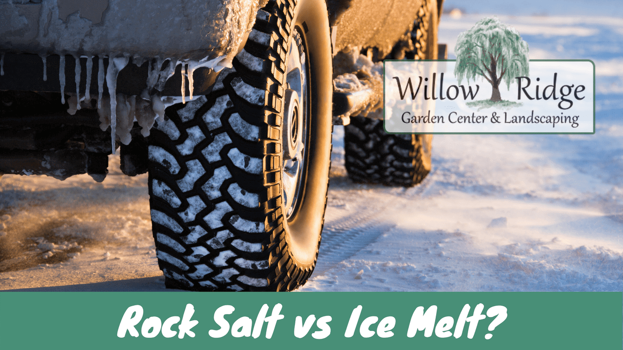 rock salt vs ice melt