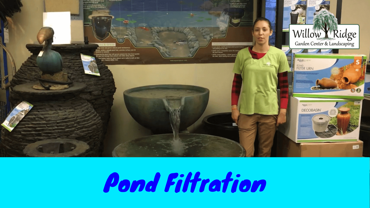 pond filtration