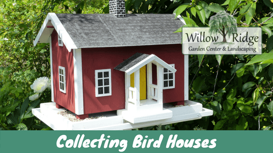 collecting bird houses