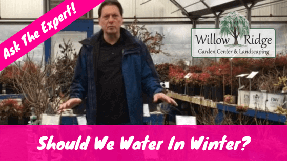 water in winter