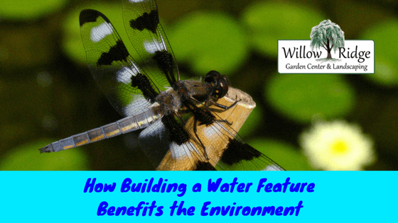 water feature benefits