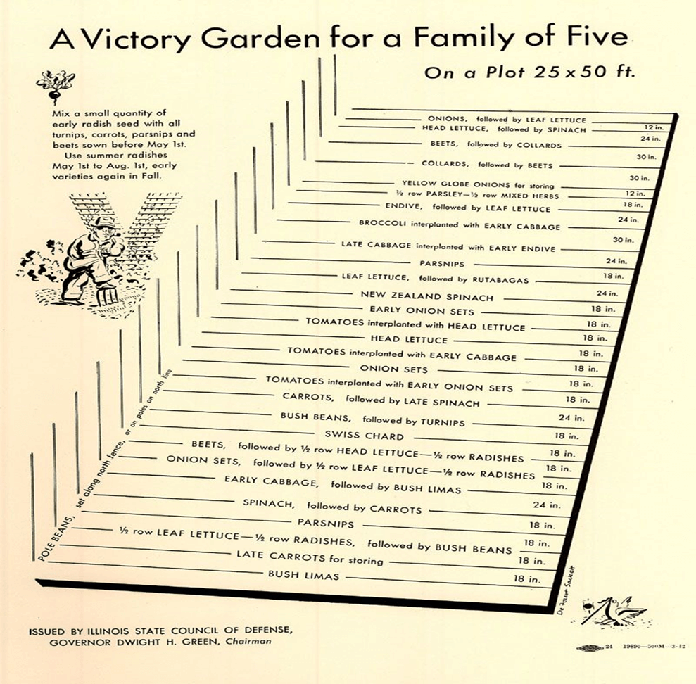 The Victory Garden - Pt. 4 - Planning The Plot | Willow Ridge Garden