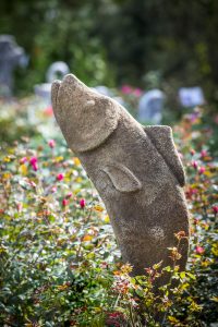 Willow Ridge Garden Center, Landscaping & Ponds | Knoxville