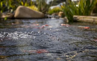 Garden Water Feature Construction