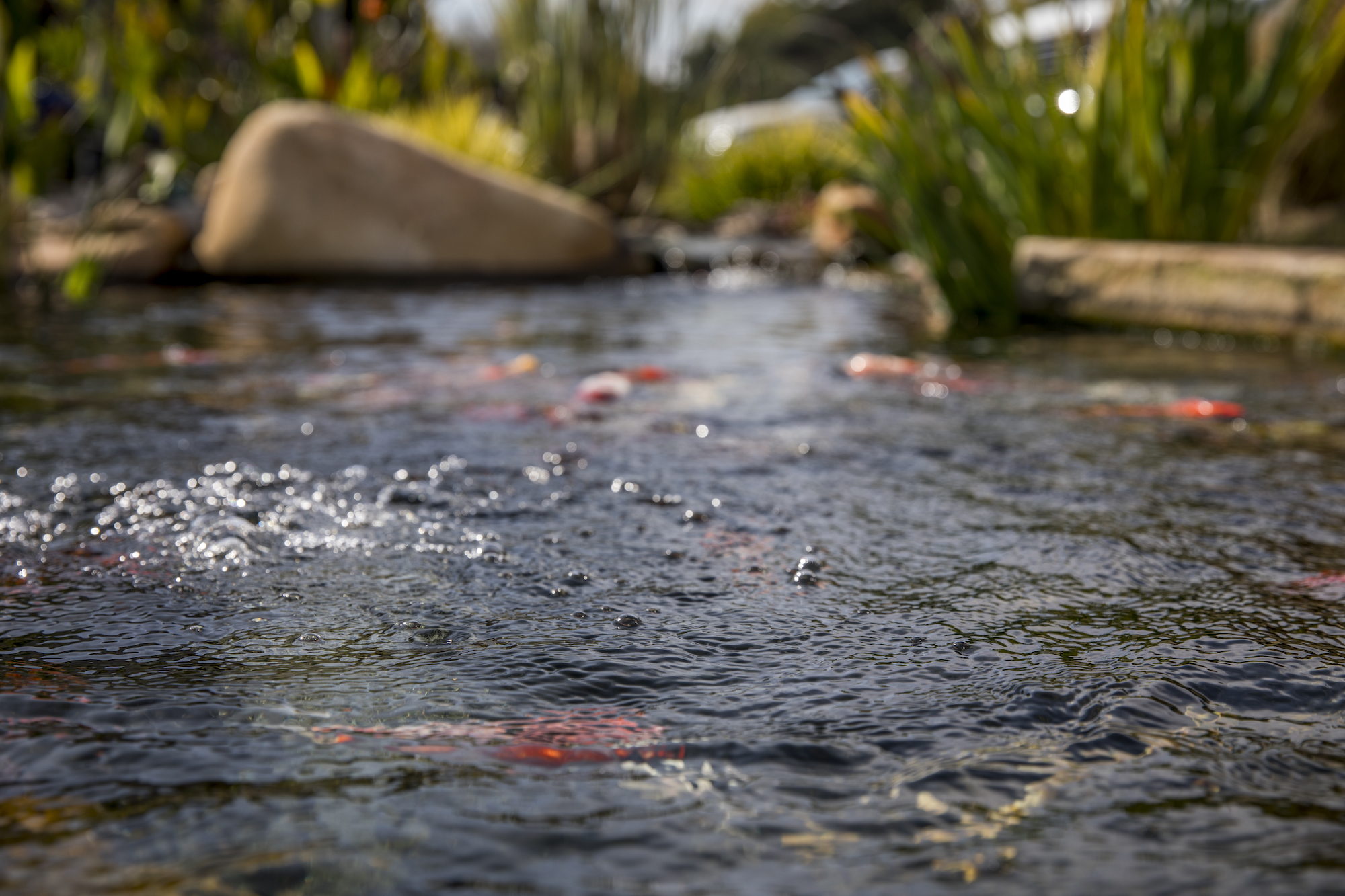 Garden Water Feature Construction