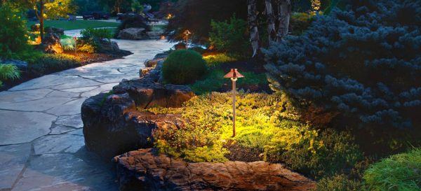 Landscape Lighting Installation