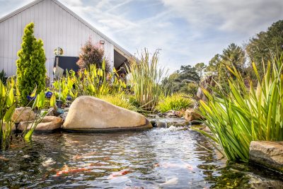 Water Garden Installation