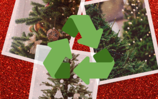 Christmas Tree Recycle