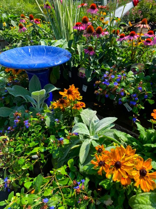 Willow Ridge Garden Center, Landscaping & Ponds Knoxville