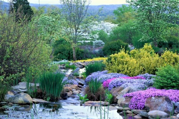 Willow Ridge Garden Center & Landscaping Showcase