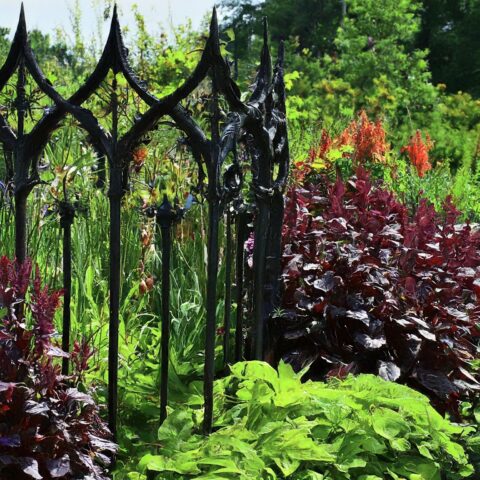 gothic gardening