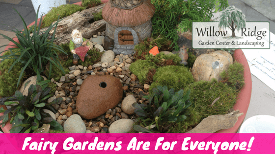 fairy gardens
