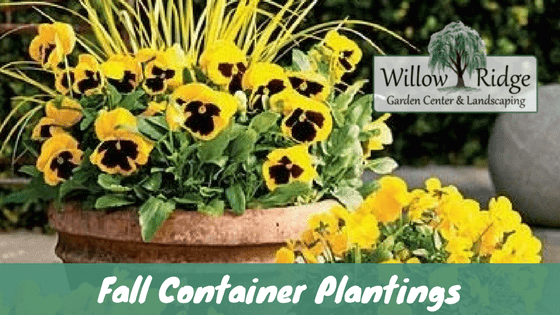 Blog-Fall-Container-Plantings