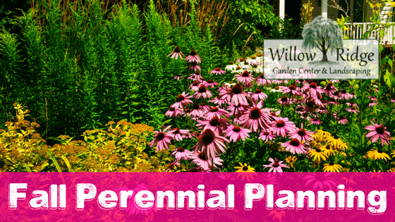 fall perennial planning