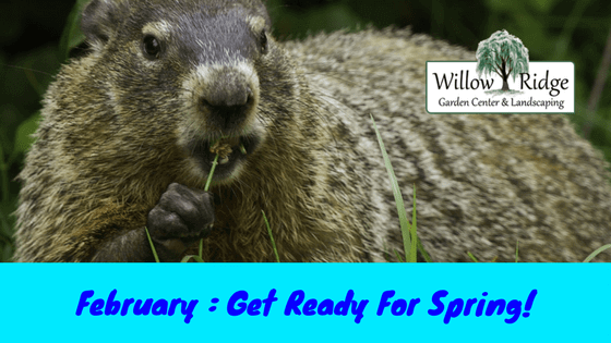 get ready for spring