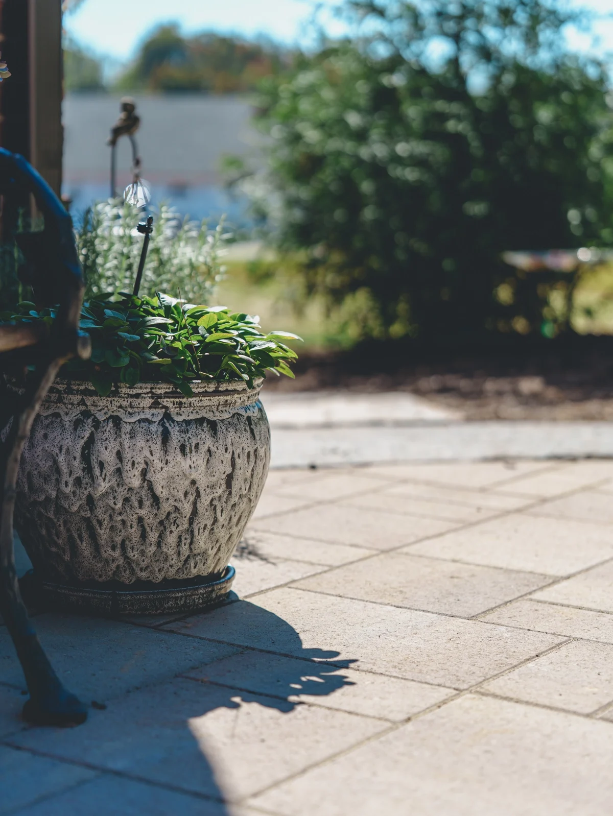 Blog - HERO - RHP08289