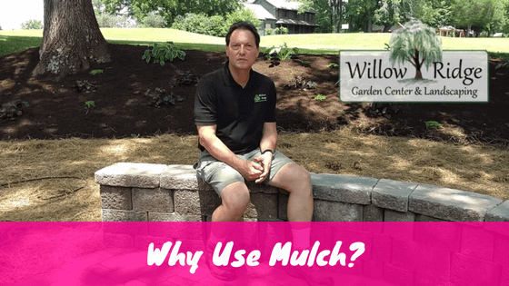 why use mulch