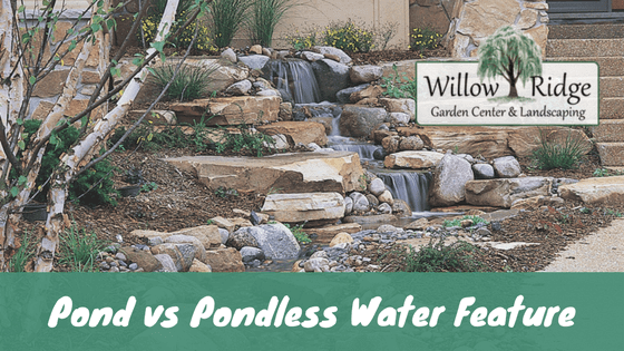 pond vs pondless
