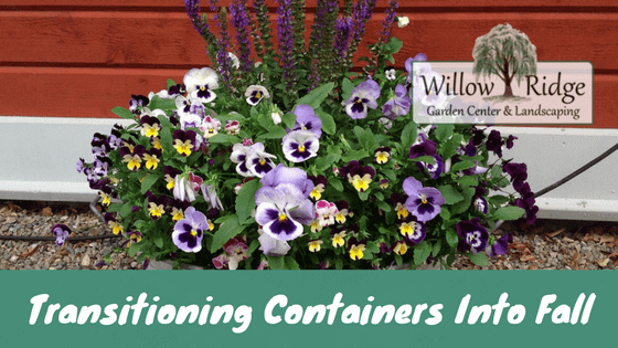 transitioning containers