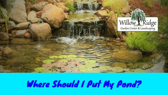 Where Should I Put My Pond?