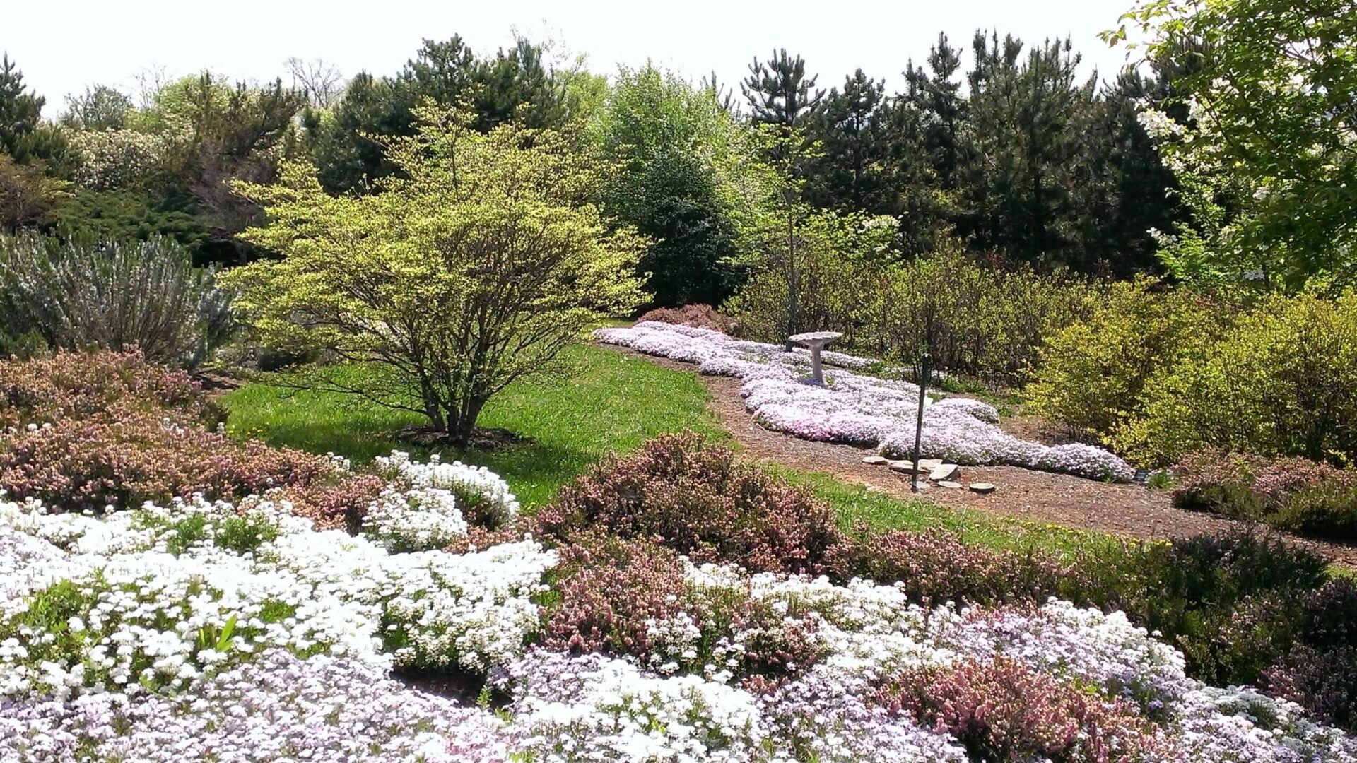 Country Garden Style Landscape Design in Knoxville, TN.