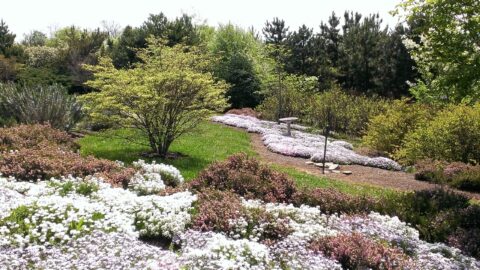 Country Garden Style Landscape Design in Knoxville, TN.