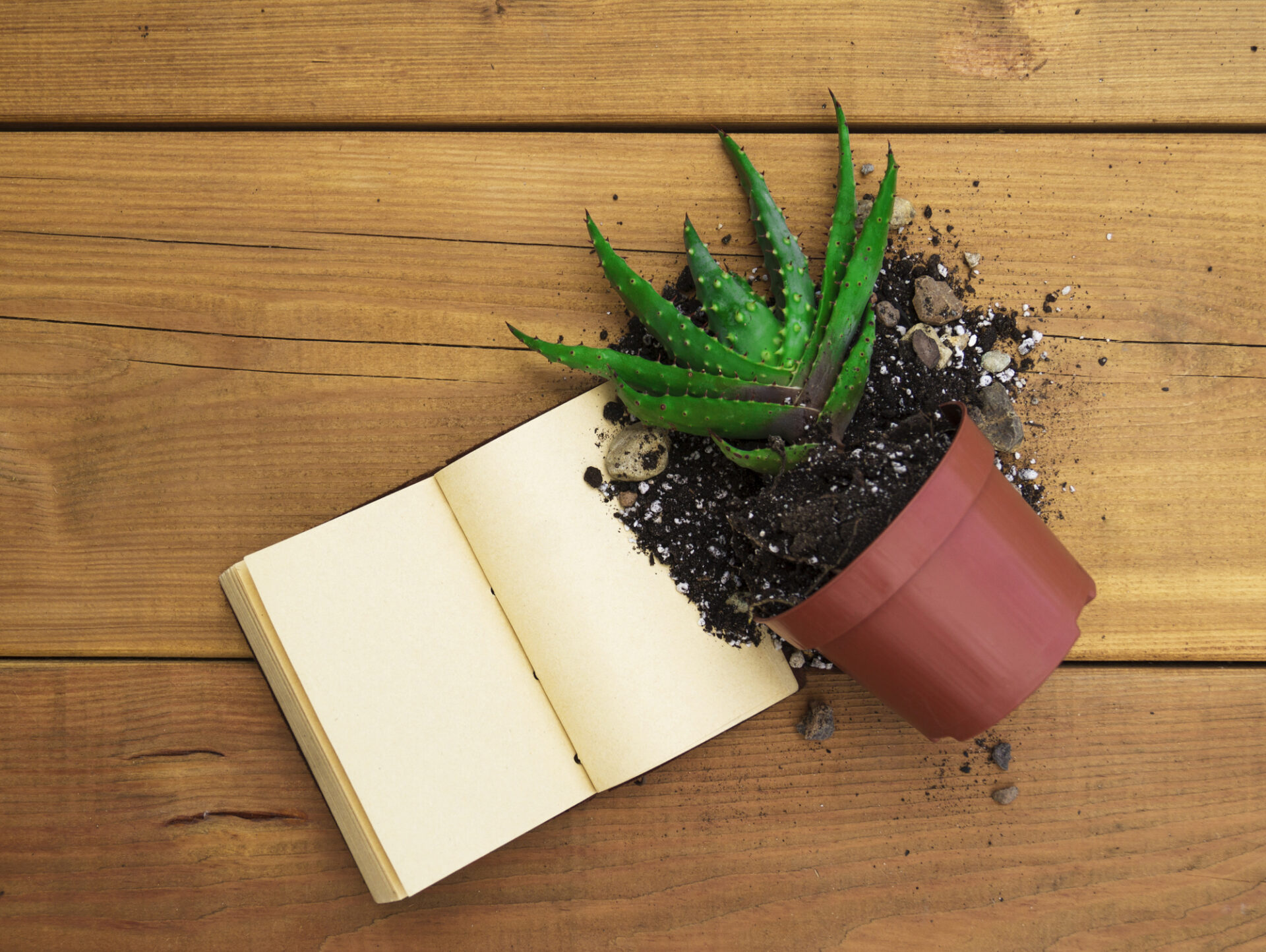 tropical greenery minimal artistic design