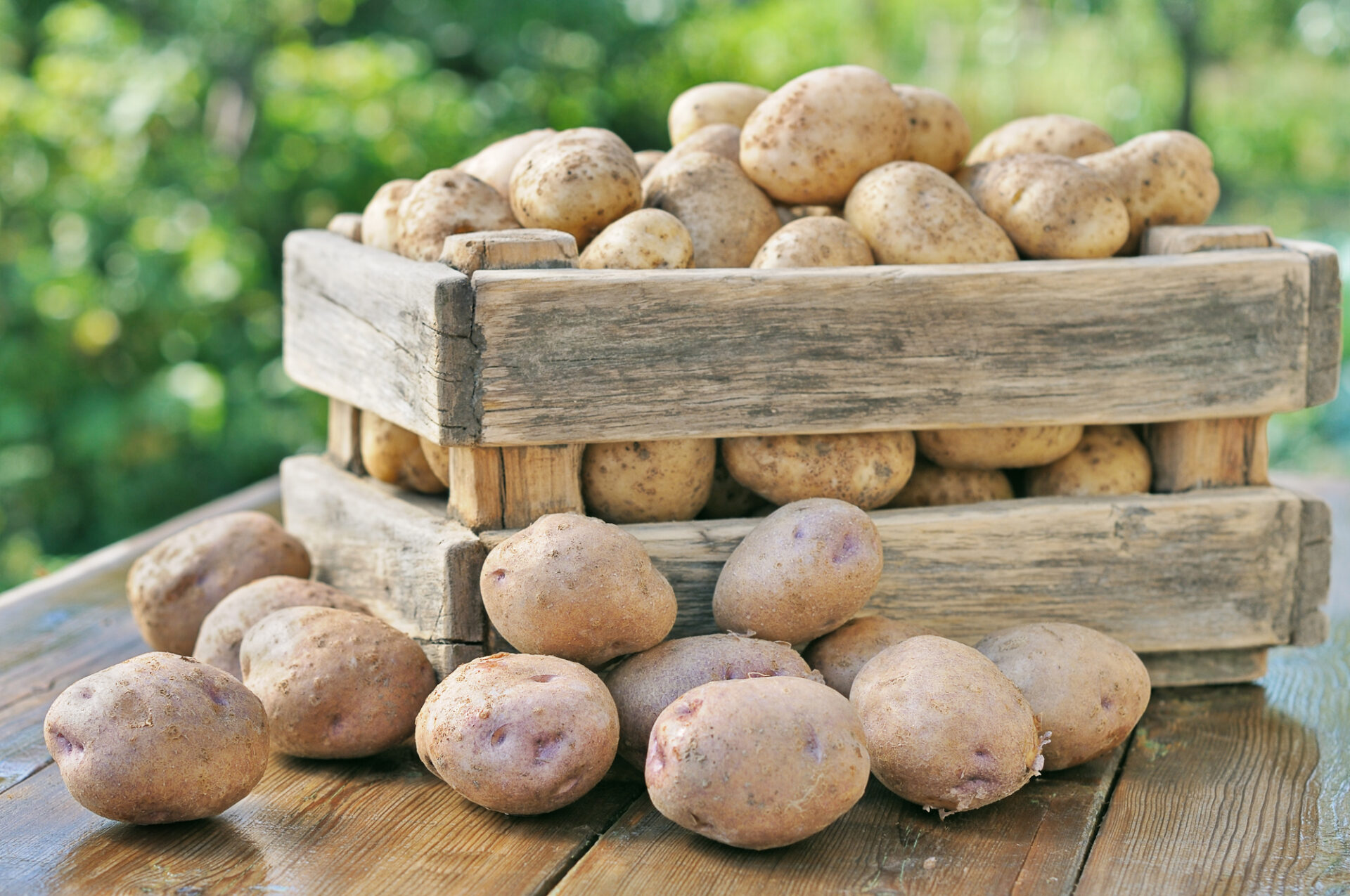 Potatoes in a box.
