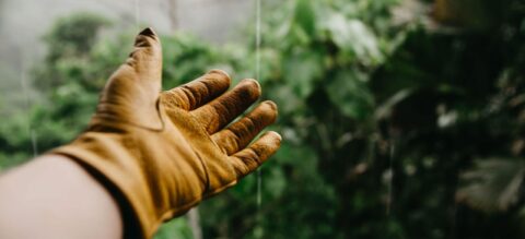 Experienced Landscaper