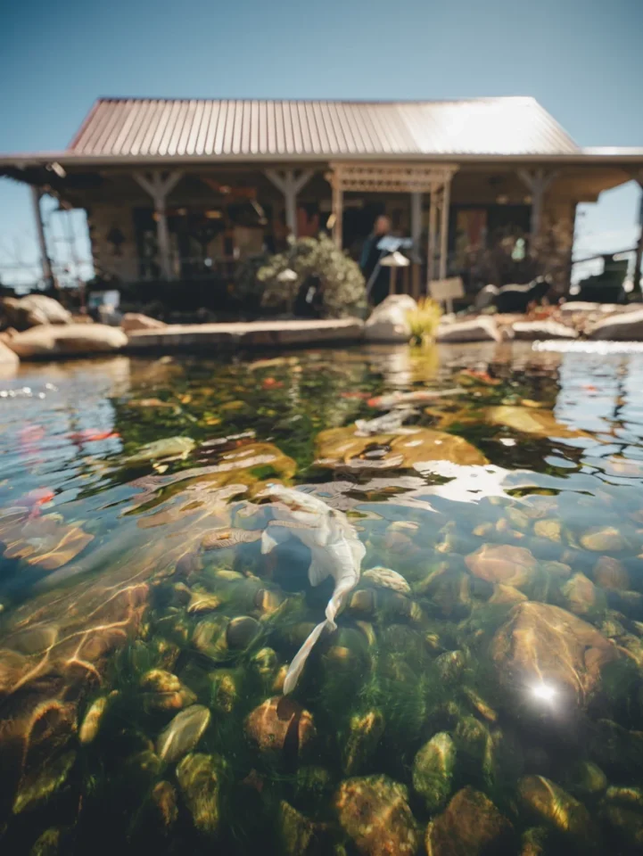 HOMEPAGE - Section 3 - Garden Center -RHP04509