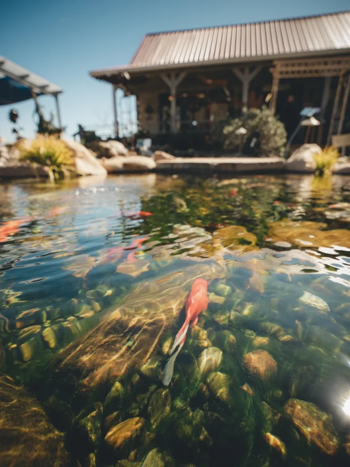 HOMEPAGE - Section 3 - Water - RHP04508