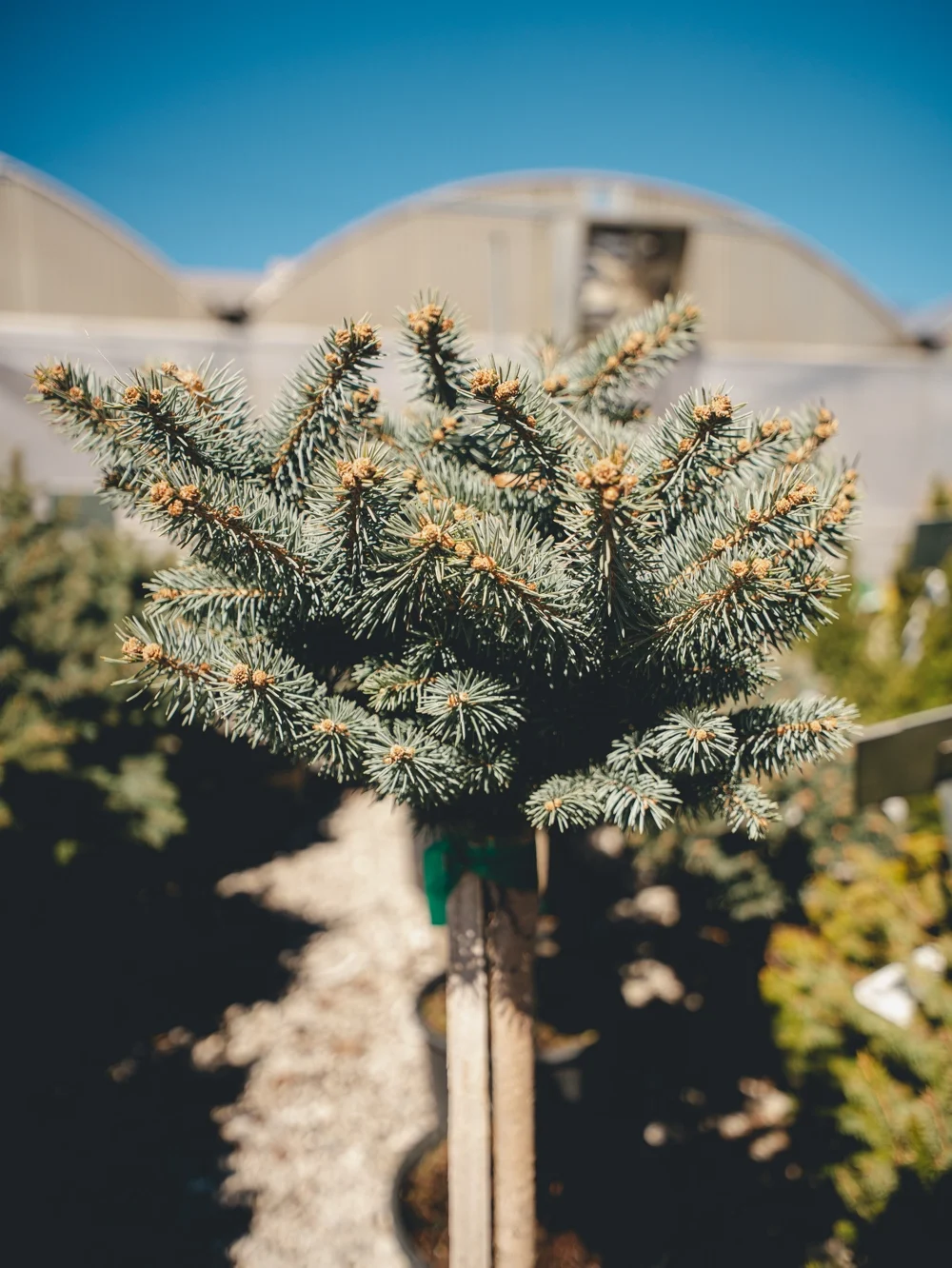 Join Us - Section 5 - RHP04494