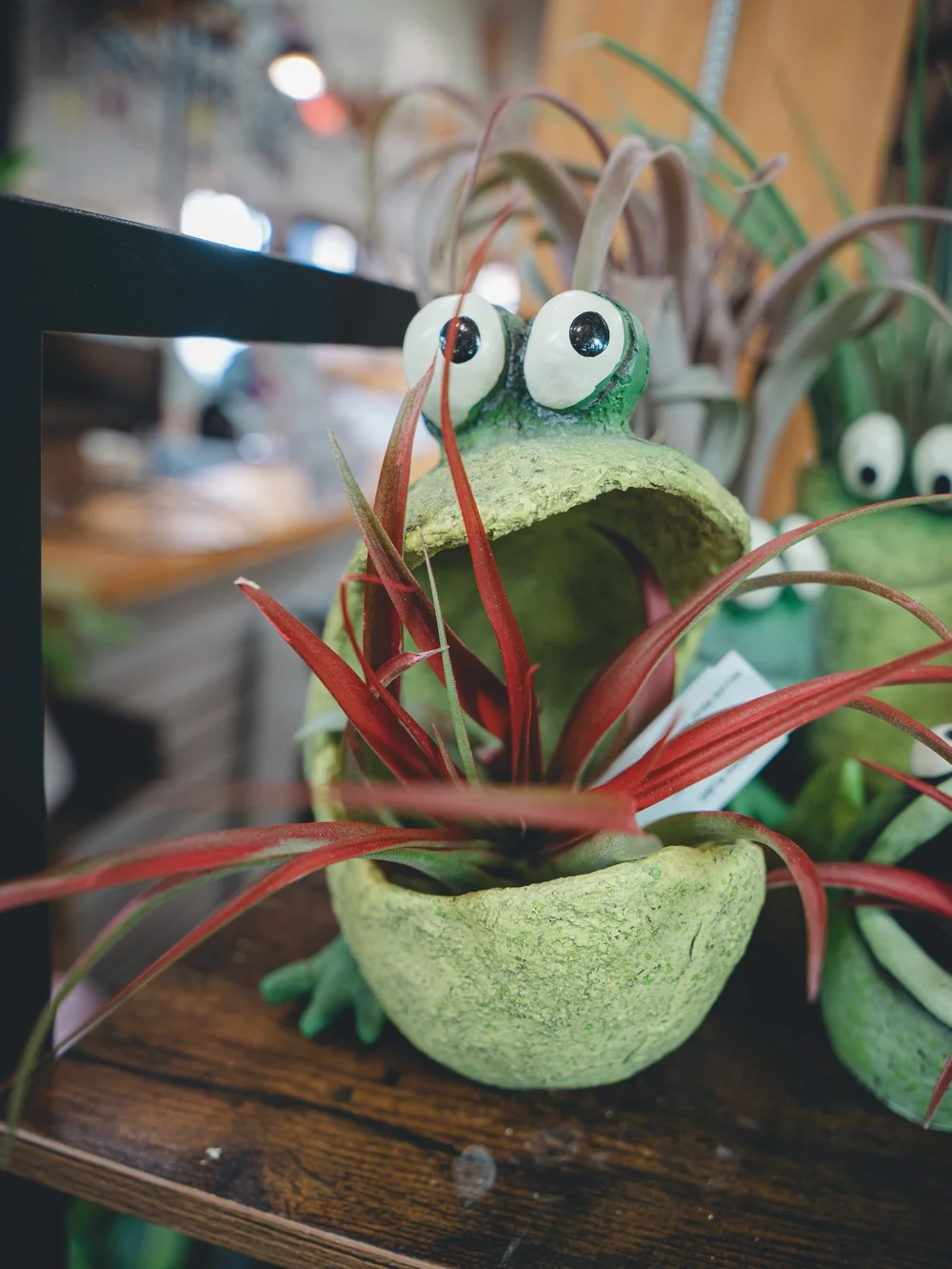 Join Us - Section 5 - RHP04518