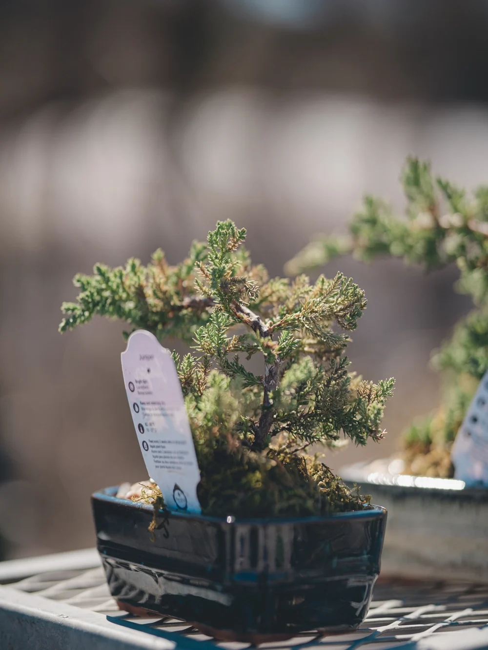 Join Us - Section 5 - RHP04532