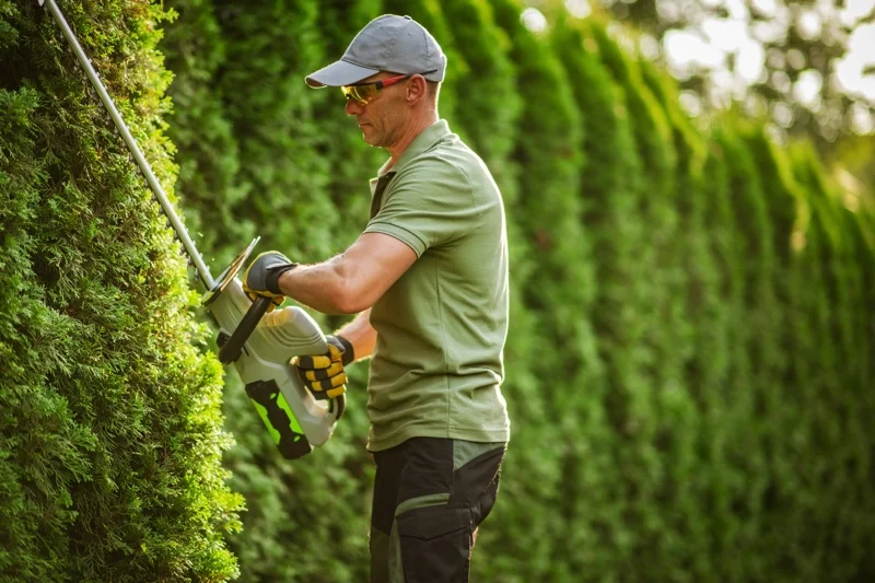 Landscape Design - Section 3 - MAINTENANCE - shutterstock_2533924473