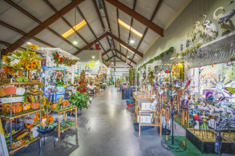 Local-Garden-Center-Knoxville-TN