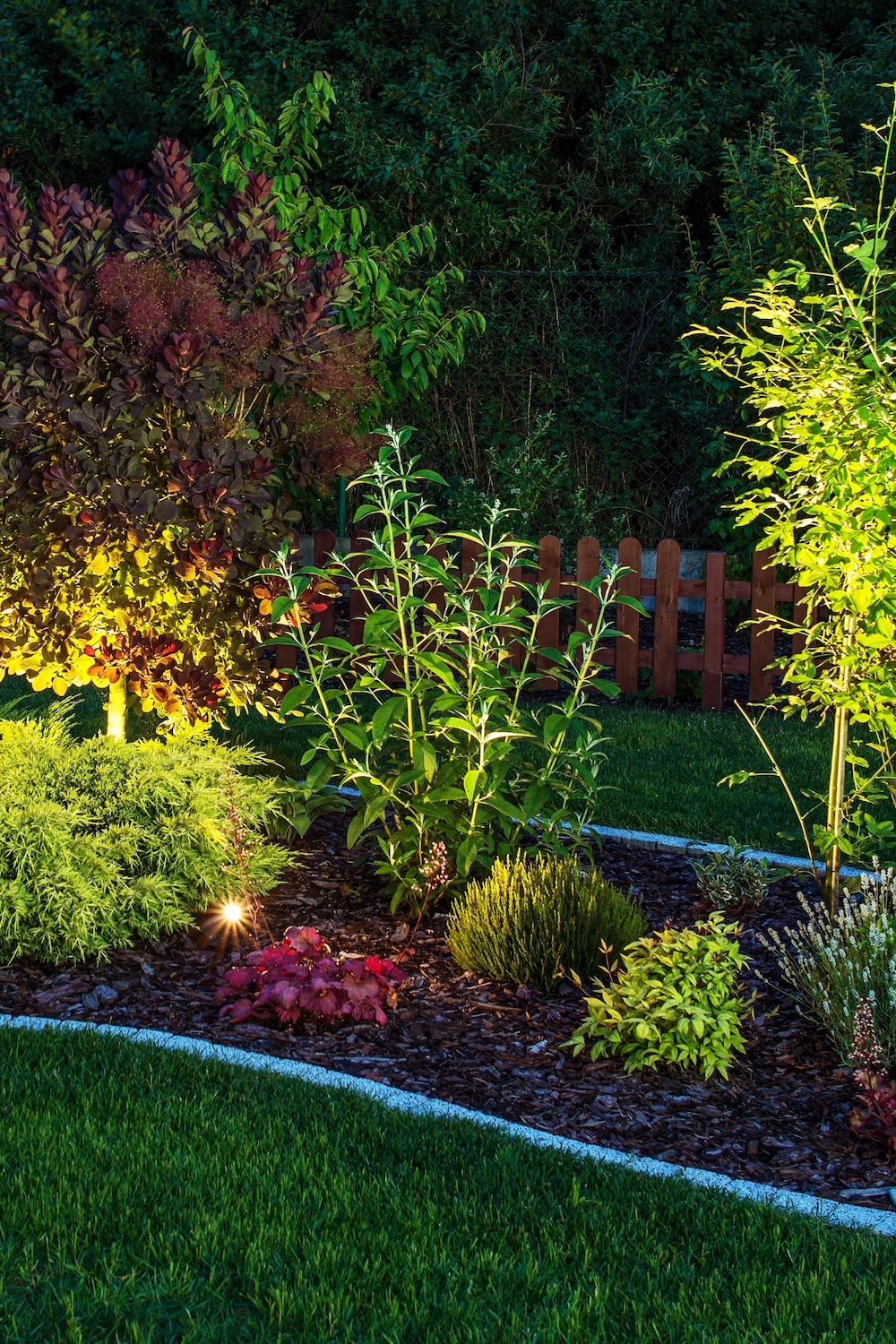 Illuminated Garden